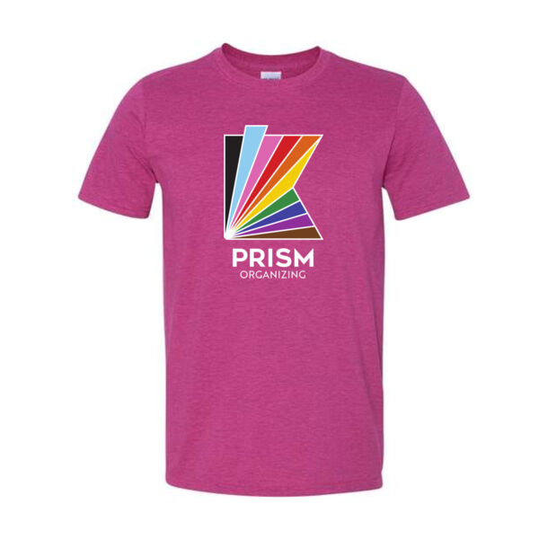**CLOSEOUT ITEM** Softstyle T-Shirt - Printed Logo Thumbnail